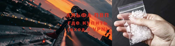 спиды Няндома