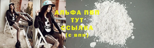 спиды Няндома