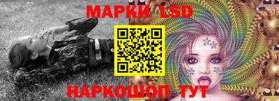 твердый Бийск