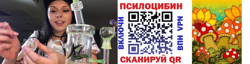 Псилоцибиновые грибы Psilocybe  продажа наркотиков  дарк нет как зайти  Боровичи 