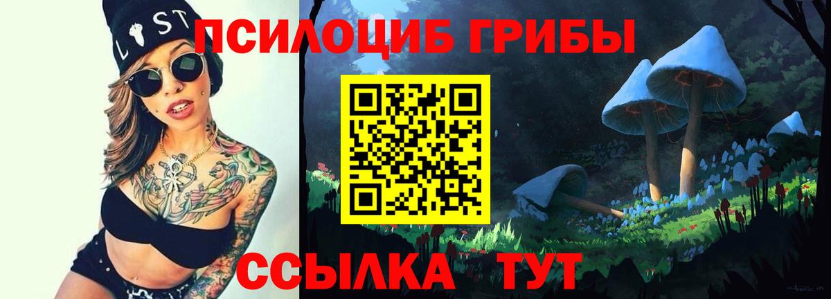Псилоцибиновые грибы MAGIC MUSHROOMS Боровичи