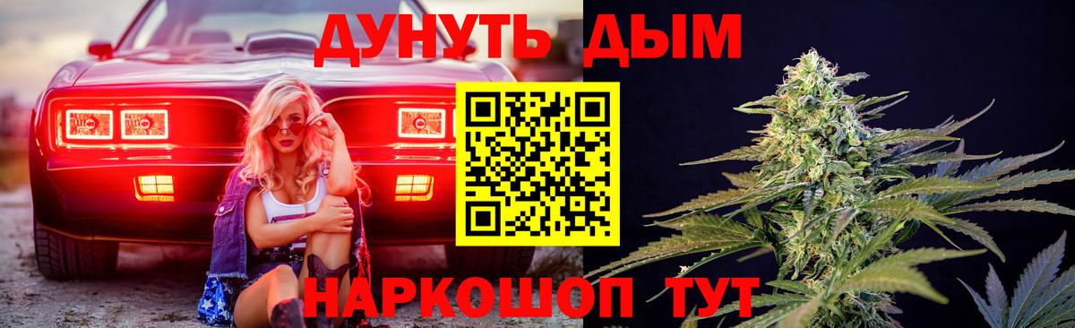 Канабис сатива Боровичи